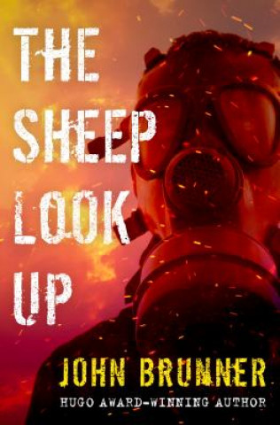 Sheep Look Up