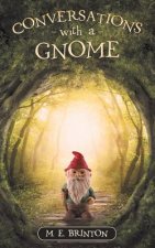 Conversations with a Gnome
