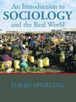 Introduction to Sociology and the Real World