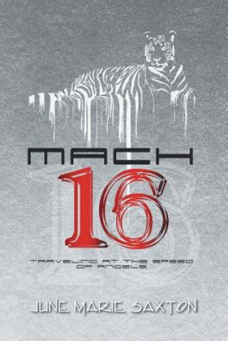 Mach 16