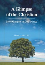Glimpse of the Christian
