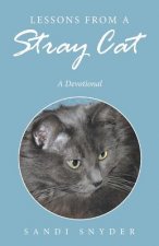 Lessons from a Stray Cat