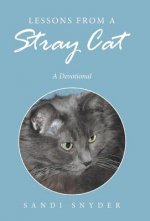 Lessons from a Stray Cat