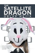 Satellite Dragon