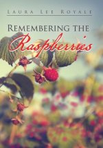 Remembering the Raspberries