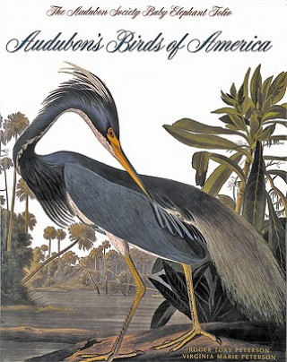 Audubon's Birds of America