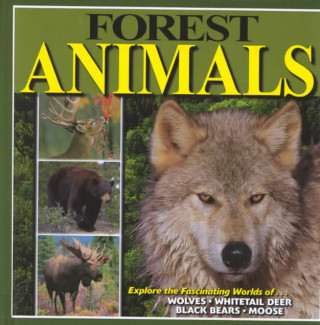 Forest Animals