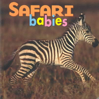 Safari Babies BD