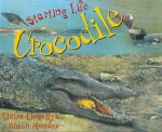 Starting Life: Crocodile