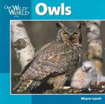 Owls