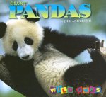 Giant Pandas