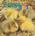 Farm Babies