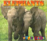 Elephants