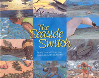 Seaside Switch