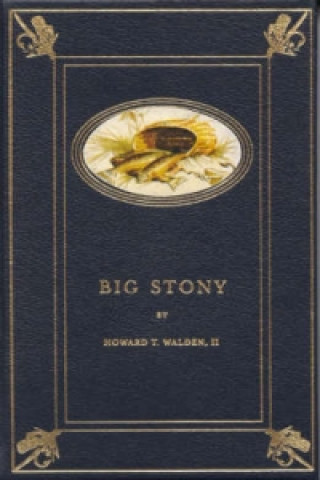 Big Stony