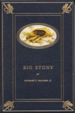 Big Stony