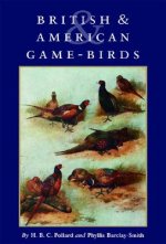 British & American Game-Birds