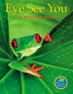 Eye See You Poster Book