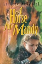 Horse for Mandy