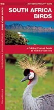 South Africa Birds