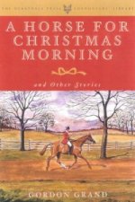 Horse for Christmas Morning