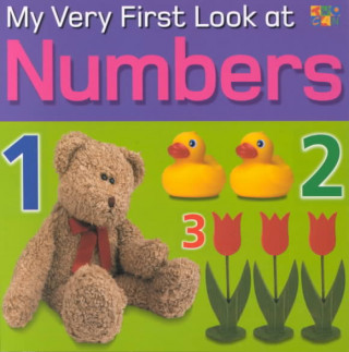 My Very First Look at Numbers
