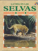 Las Selvas