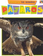 Pajaros