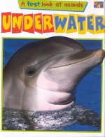 Underwater