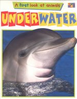 Underwater