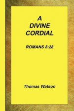 Divine Cordial - Romans 8