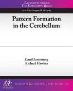 Pattern Formation in the Cerebellum