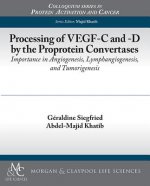 Processing of VEGF-C and -D by the Proprotein Convertases