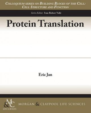 Protein Translation