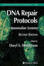 DNA Repair Protocols