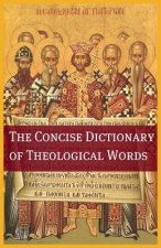 Concise Theological Dictionary
