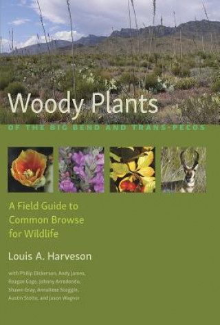 Woody Plants of the Big Bendand Trans-Pecos