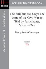 Blue and the Gray