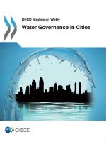 Water Governance in Cities