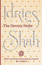 Dermis Probe