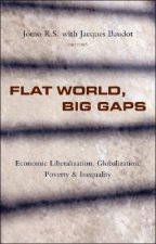 Flat World, Big Gaps