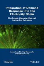 Integration of Demand Response into the Electricity Chain - Challenges, Opportunities and Smart Grid Solutions