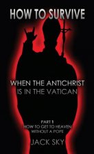 How To Survive When The Antichrist Is In the Vatican