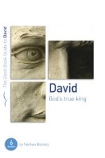 David: God's True King