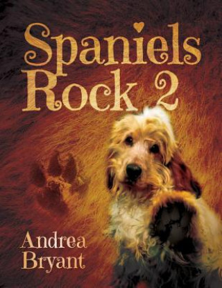 Spaniels Rock