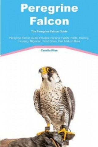 Peregrine Falcon the Peregrine Falcon Guide Peregrine Falcon Guide Includes