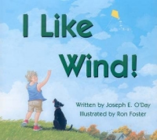 I Like Wind!