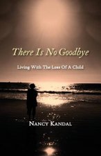 There Is No Goodbye