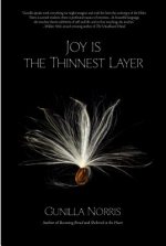 Joy is the Thinnest Layer