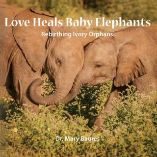Love Heals Baby Elephants; Rebirthing Ivory Orphans